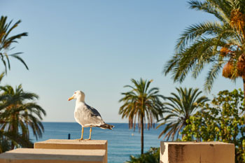 vacances au royal westminster - menton